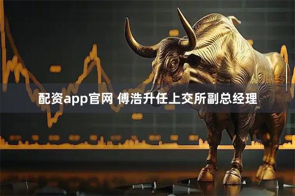 配资app官网 傅浩升任上交所副总经理